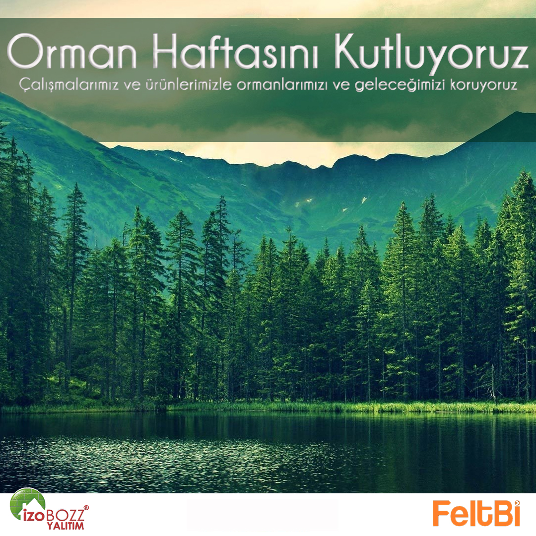Ürünlerimiz ve çalışmalarımızla ormanlarımızı ve geleceğimizi koruyoruz.